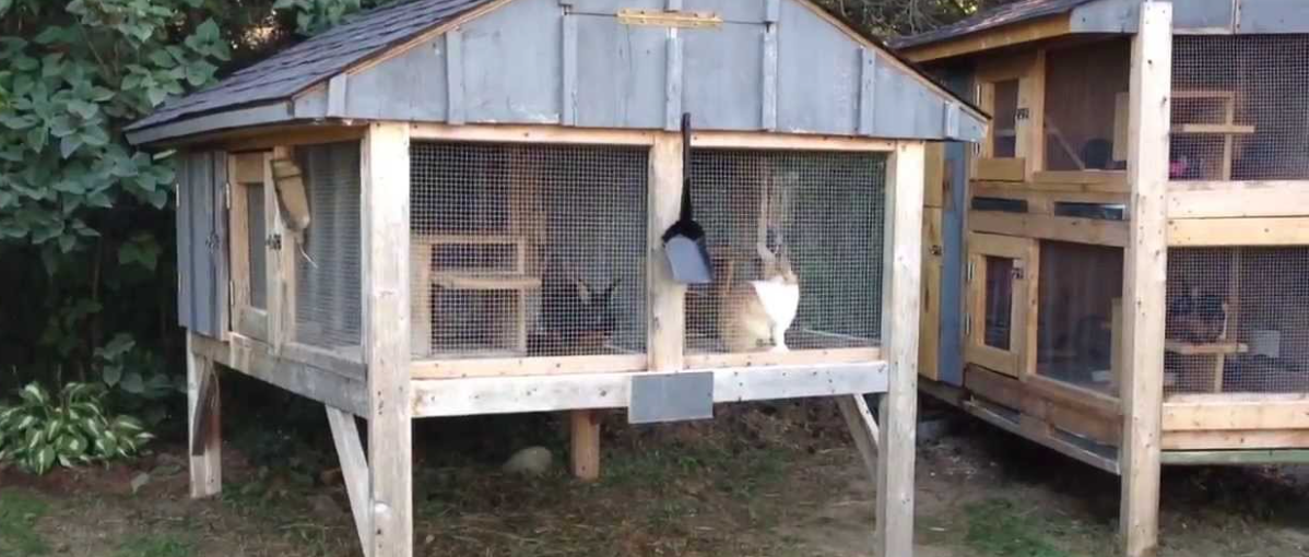 Best Styles of Rabbit Hutches