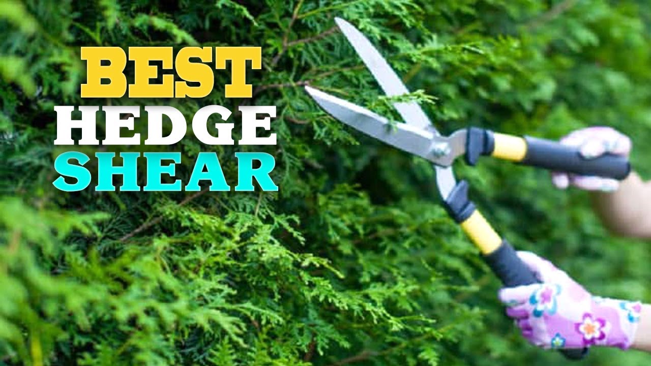 Why Every Gardener Needs a High-Quality Pruner in Their Kit